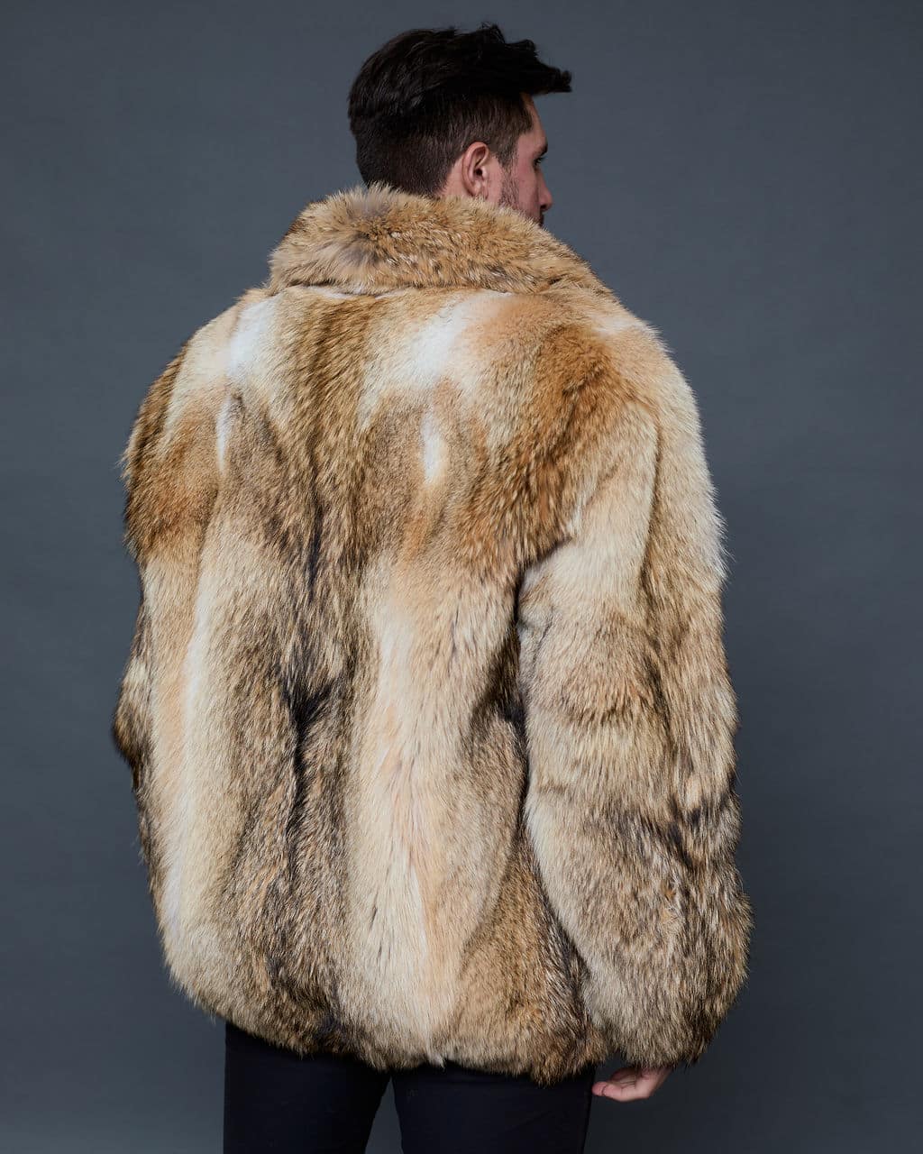 The Ryan coyote bomber jacket - Natural - back