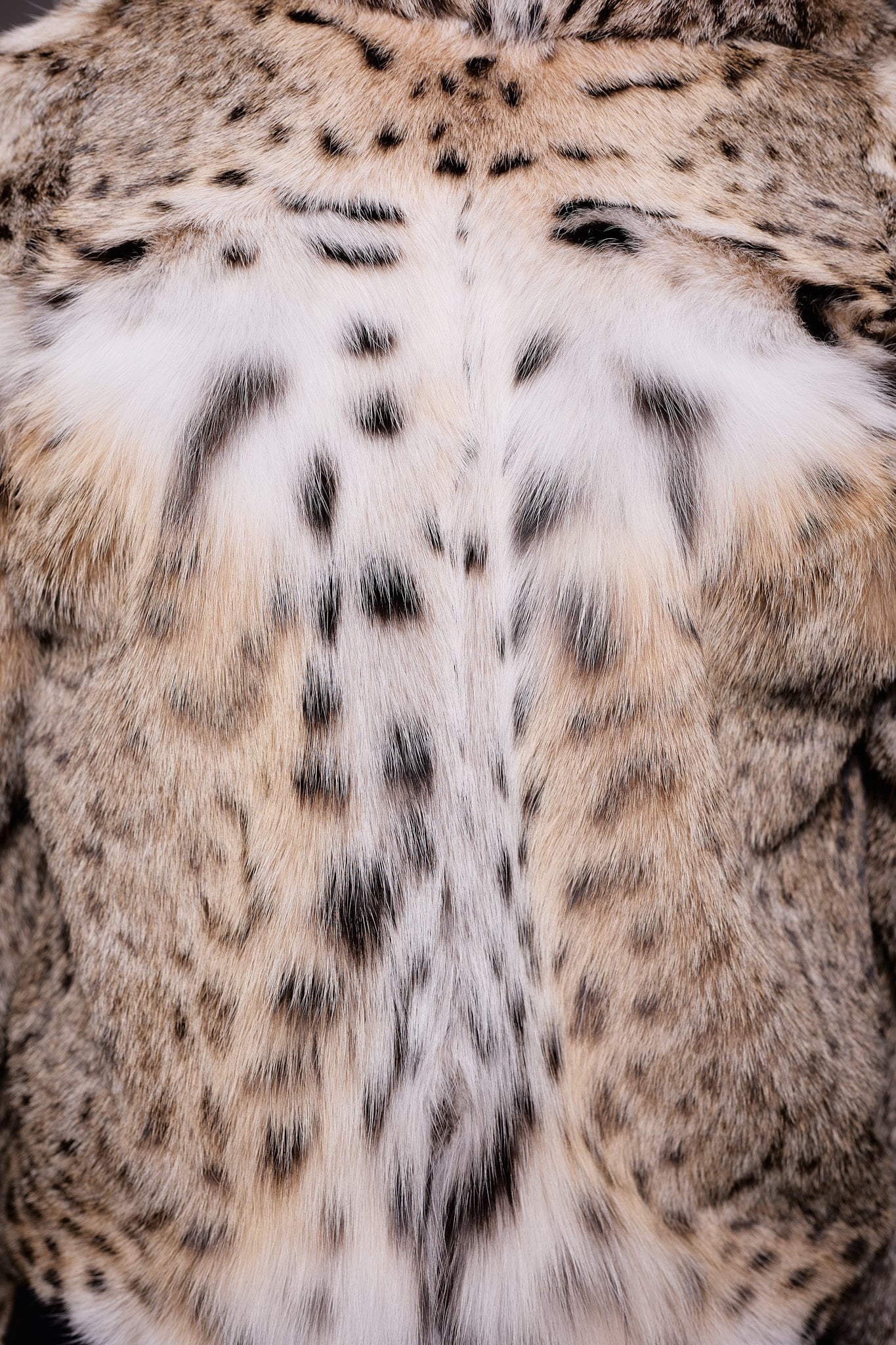 the back of a woman in a lynx fur coat against a grey background